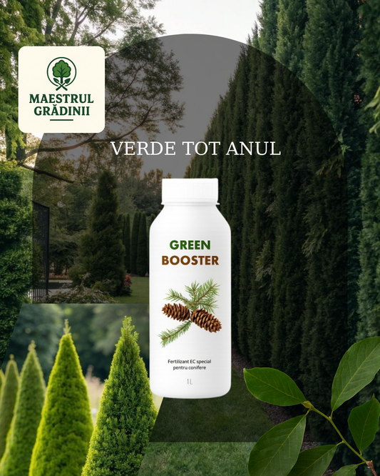 GreenBooster Fertilizant Conifere